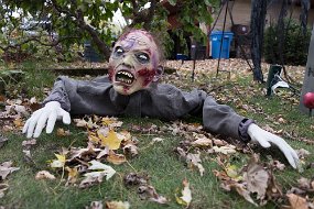 Halloween 2017-39