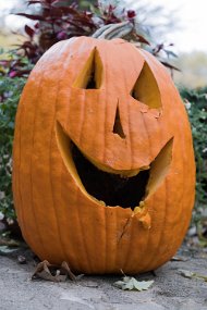 Halloween 2017-44