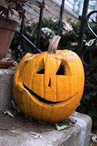 Halloween 2017-46