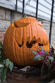 Halloween 2017-49