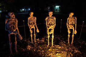 Halloween 2018-2