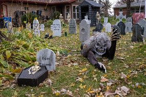 Halloween 2019-17