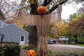 Halloween 2019-19