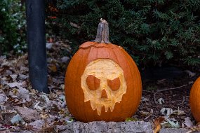 Halloween 2019-21