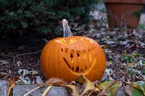 Halloween 2019-22
