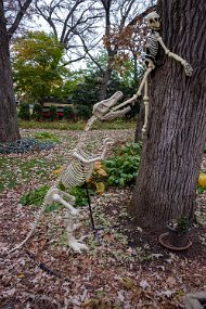 Halloween 2019-28