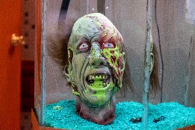 Halloween 2019-29