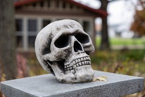 Halloween 2019-3