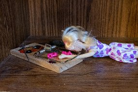 Halloween 2019-35