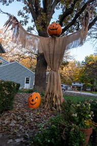 Halloween 2019-57