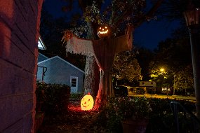 Halloween 2019-63
