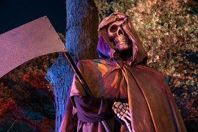 Halloween 2019-74
