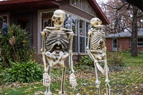 Halloween 2019-8
