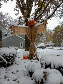 Halloween 2019-81