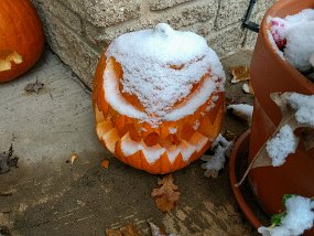 Halloween 2019-84