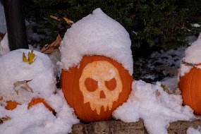 Halloween 2019-90