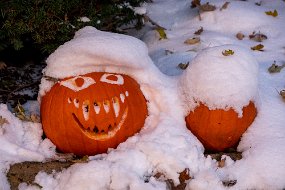 Halloween 2019-91
