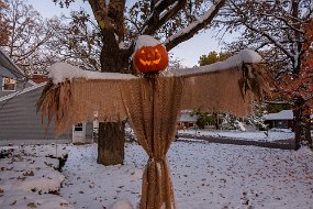 Halloween 2019-92