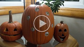 Pumpkin-1
