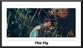 fly 2 frame