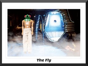 fly frame
