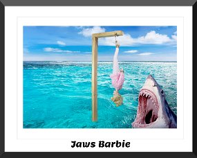 jaws frame