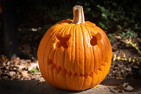 Halloween 2021-2