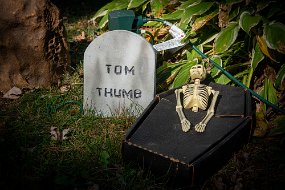 Halloween 2021-21