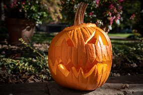 Halloween 2021-5