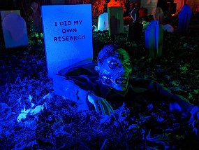 Halloween 2021-56