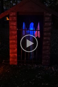 PXL_20211031_231424694