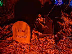 Halloween 2022-14