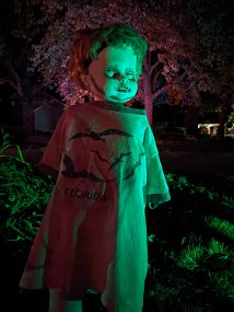 Halloween 2022-17