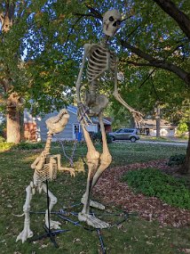 Halloween 2022-2