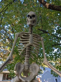 Halloween 2022-3