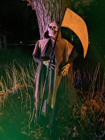 Halloween 2022-33