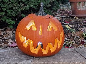 Halloween 2022-34