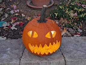 Halloween 2022-35