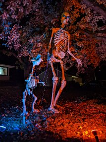 Halloween 2022-5