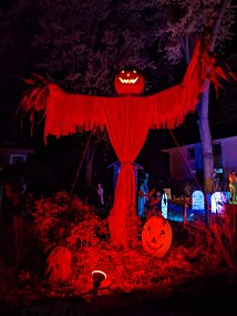 Halloween 2022-8