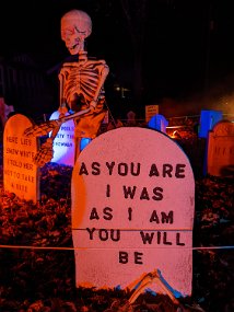 Halloween 2022-97