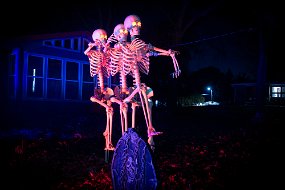 Halloween 2023-40