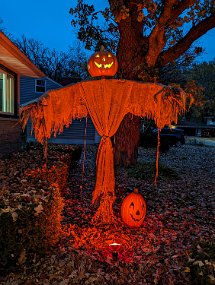 Halloween 2023-49