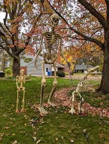 Halloween 2023-5