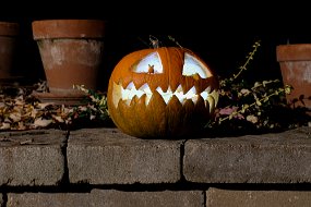 Halloween 2023-53