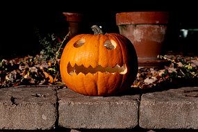 Halloween 2023-54