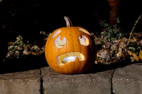 Halloween 2023-55