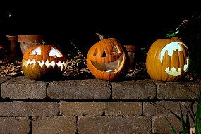 Halloween 2023-56