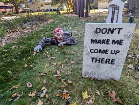 Halloween 2024-15