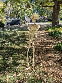 Halloween 2024-20
